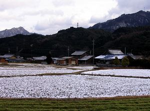 �ቻ�ς��������̓c��ڂƎR