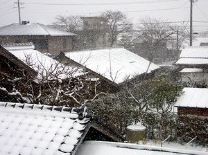 ����̒��̐�i�F�i�����j