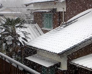 ����̒��̐�i�F�i�����j