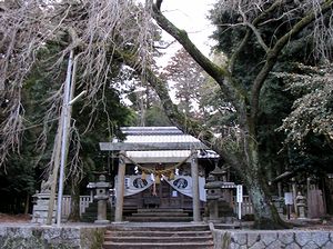 ����U�O�O�N�Ƃ������̖؁i�����̐얓�_�Ёj