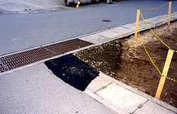 ���̓��̂����ɏC�U�����ꂽ���H���a�|��������