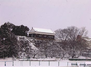 �����̐�@�T�����猩�������E