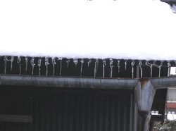 ������A�ƂȂ�̏����ɂł������