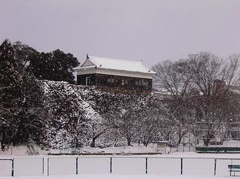 ��̑����E