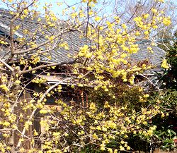 �܂��Ō�������