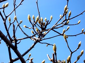 �܂��Ō�������