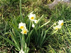 �܂��Ō�������