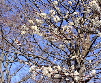 �܂��Ō�������