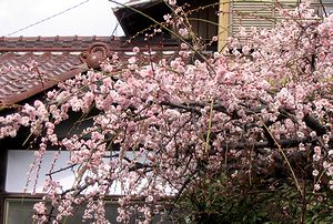 �܂��Ō�������