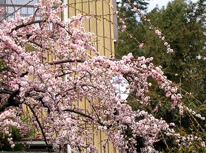 �܂��Ō�������