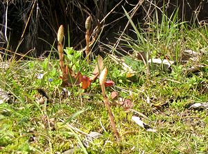 ����o��������