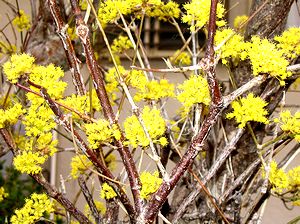 �܂��Ō�������