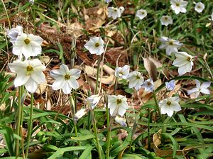 �z�C�_�Ђł݂�����