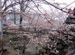 �ܕ��炫���炢���A�����E�̍�