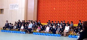 ���킢���V�P�N��