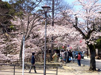 ���w����A�����E�̋߂���