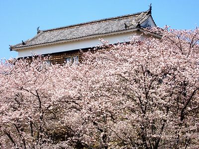 �����E�ƍ�