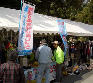 �T�R����̉�̃u�[�X�Ƃ̂ڂ�A���f��