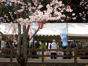 �܂��ݎ����������猩���u�[�X