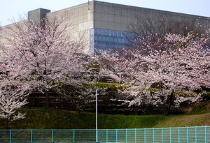 ��������̍�