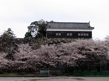 �T���O�����h���猩�������E�ƍ�