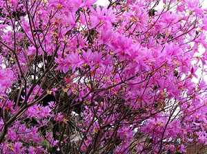 �܂��Ō�������