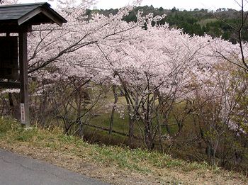 �ォ�猩�����@���R���Ղ̍�