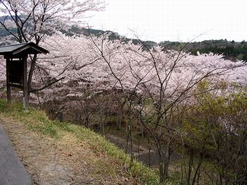 �ォ�猩�����@���R���Ղ̍�