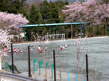 �V�����O�����h�ŉ^��������q�ǂ��B�i���j���j