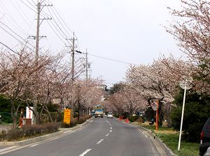 ��������̍�����