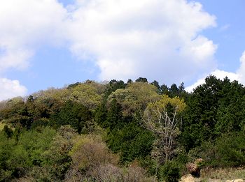 �F�Â��Ă������R�i���ؒ��Łj