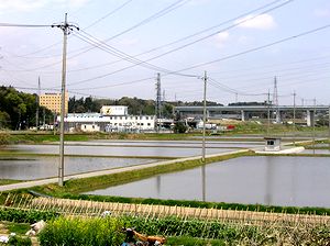 �c�A���̏������������c��ځi�_�ӂŁj