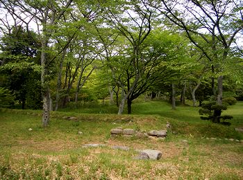 �V�΂����������@���R����