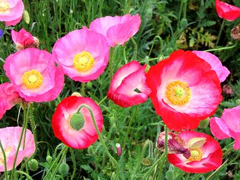 �����z�B�Ō������ԁi����Łj