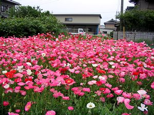 �����z�B�Ō������ԁi����Łj