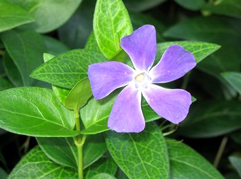 ���̐V���z�B�Ō�������