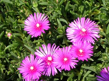 �܂��Ō�������