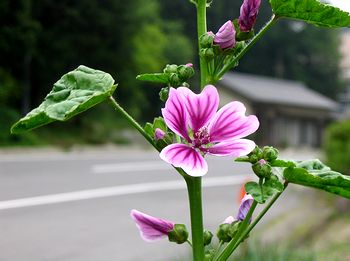 �����Ō�������