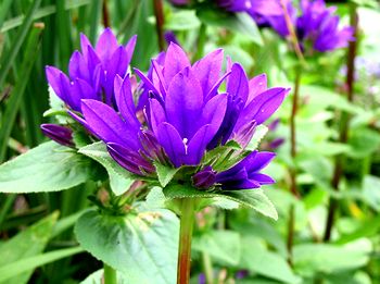 �����Ō�������