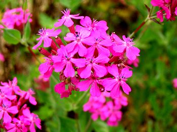 �����Ō�������