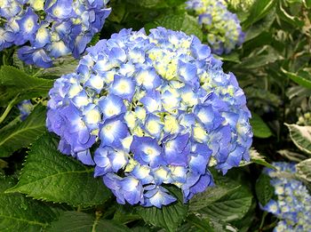 ��̂�������