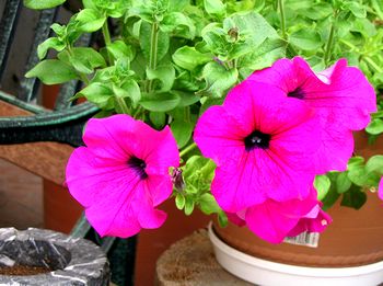 �܂��Ō�������