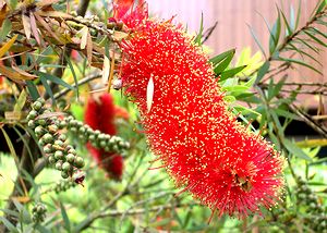 �܂��Ō�������