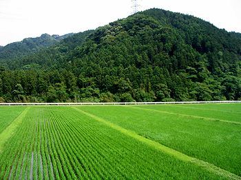 �����̓c�ƎR