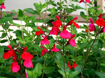 �܂��Ō�������