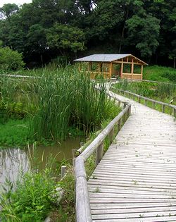 ���R����