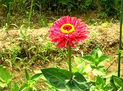 �܂��Ō�������