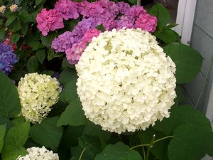 ���m���������H