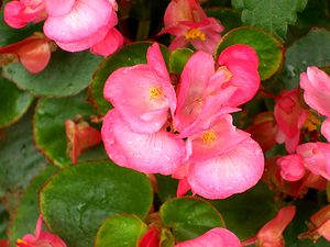 �܂��Ō�������