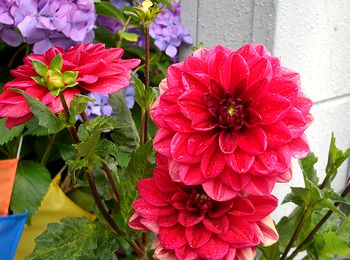 �܂��Ō�������